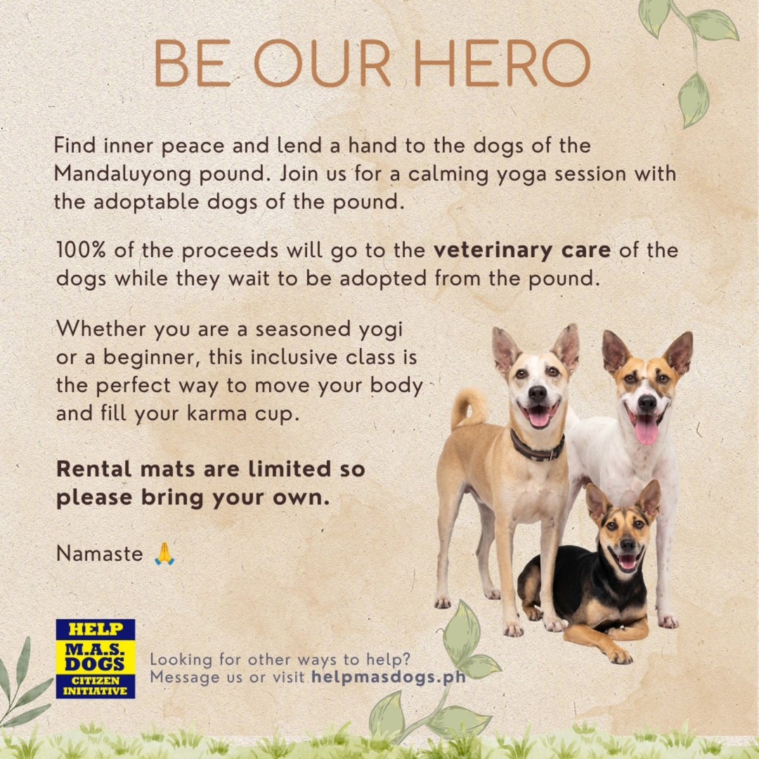 Dog Yoga for a Cause - Image 2